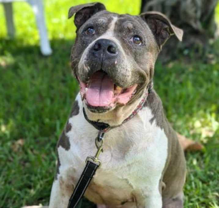 Photo of Tyson
