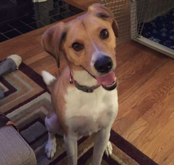 Photo of Charlie
