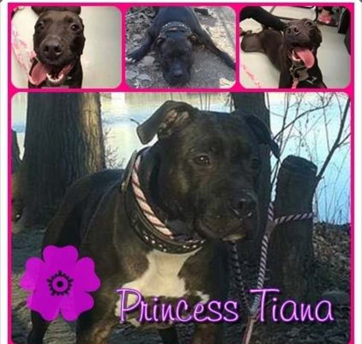 Photo of Tiana
