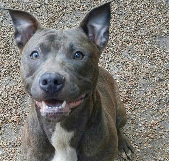 Photo of Bella Blue