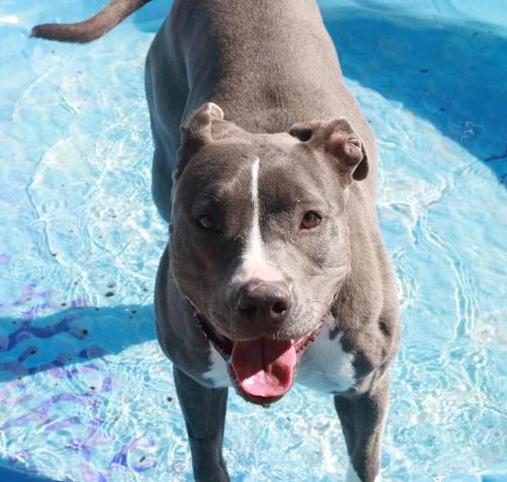 Photo of Bella