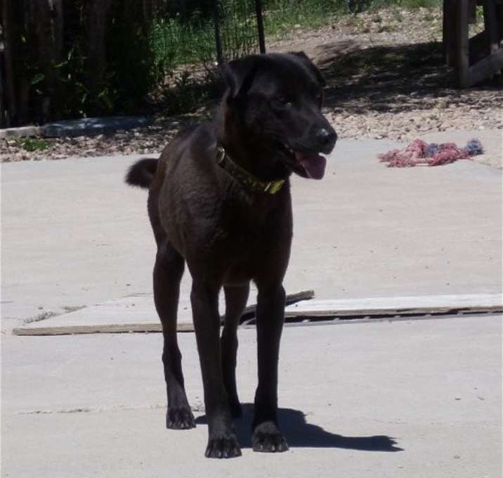 Photo of Charlie
