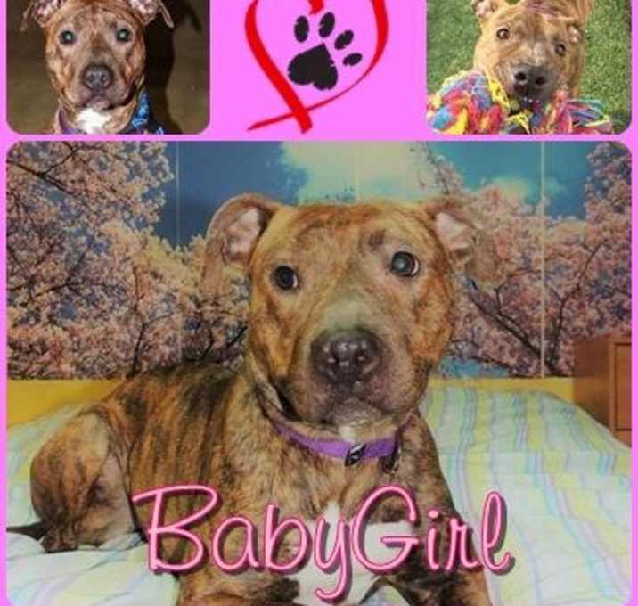 Photo of BabyGirl (aka Miss BG)