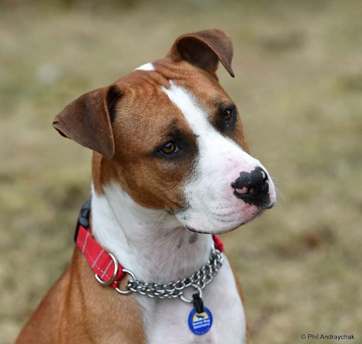 Photo of Paulie