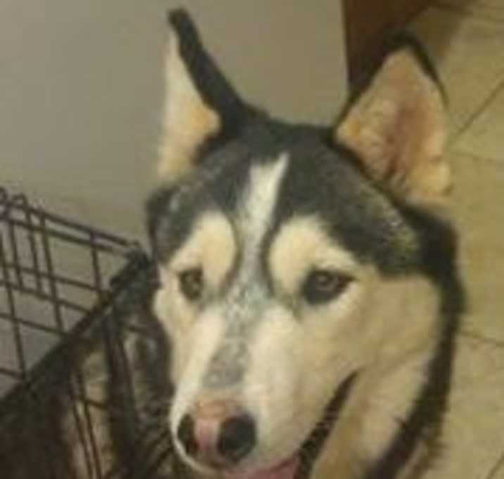 Photo of Baby