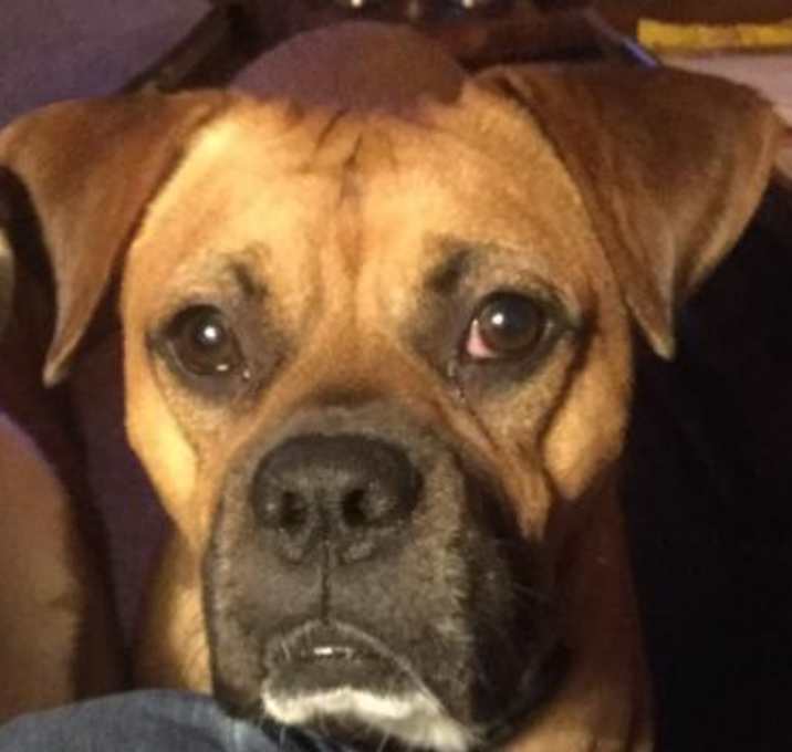 Photo of Max