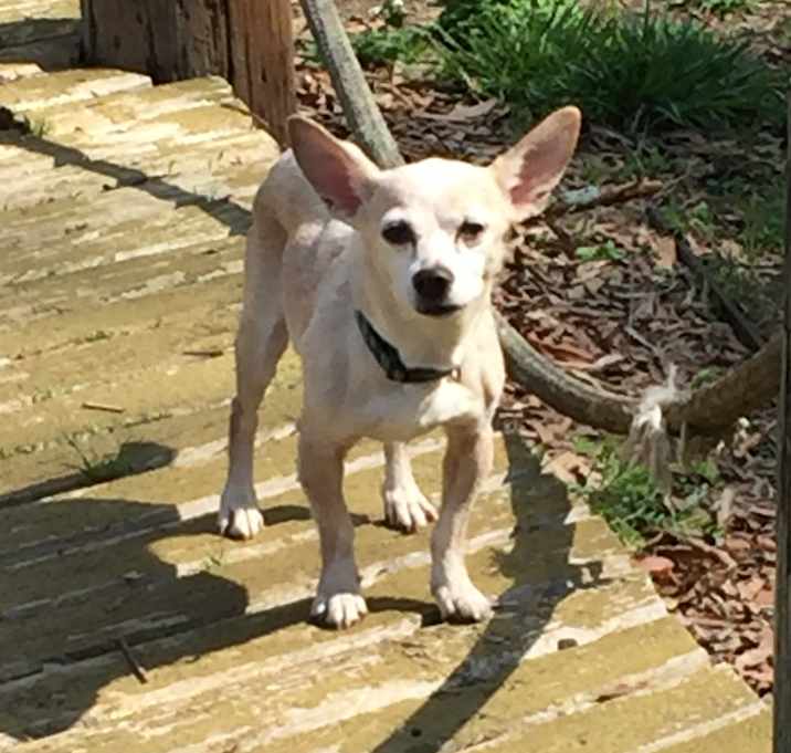 Photo of Elsa