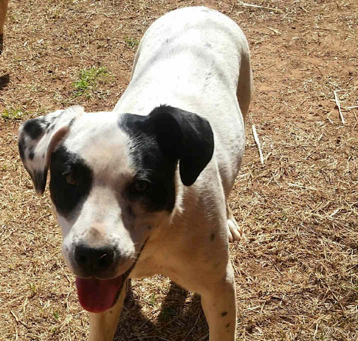 Photo of Ruckus
