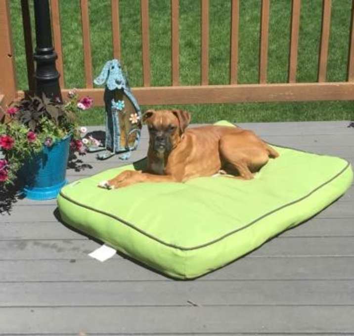 Photo of Spike