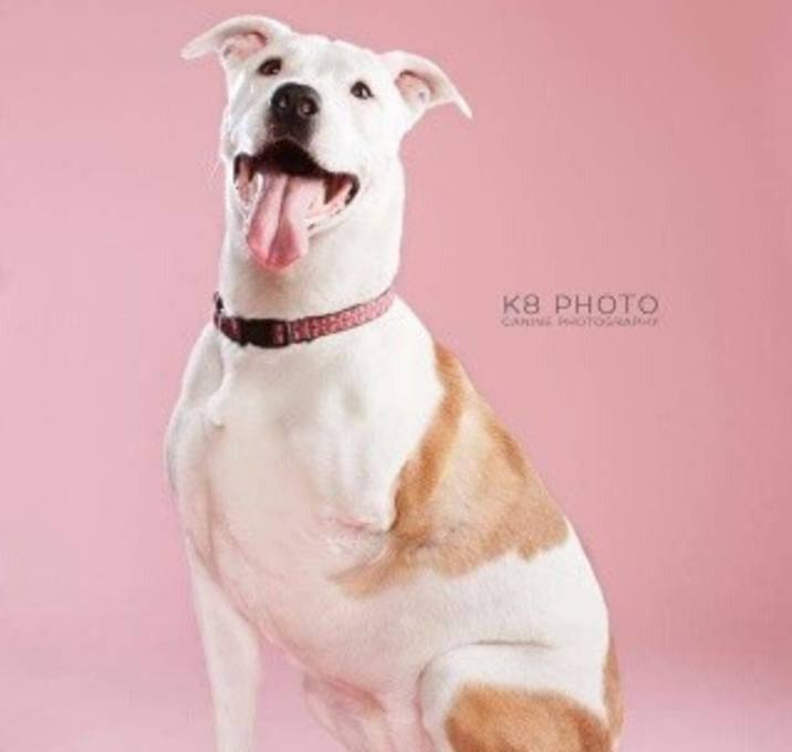 Photo of Lily