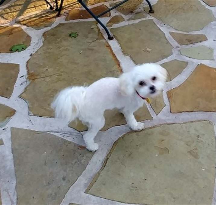 Photo of Humphrey (FL)