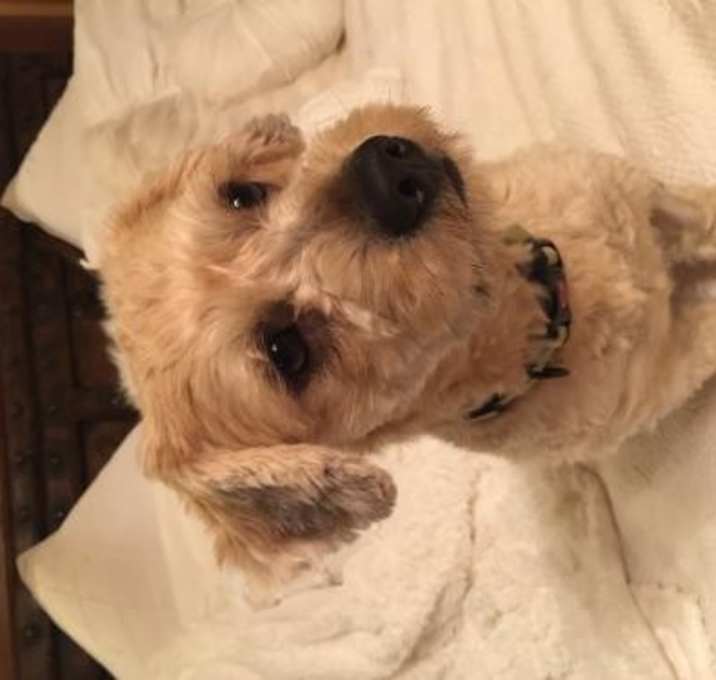 Photo of Stanley