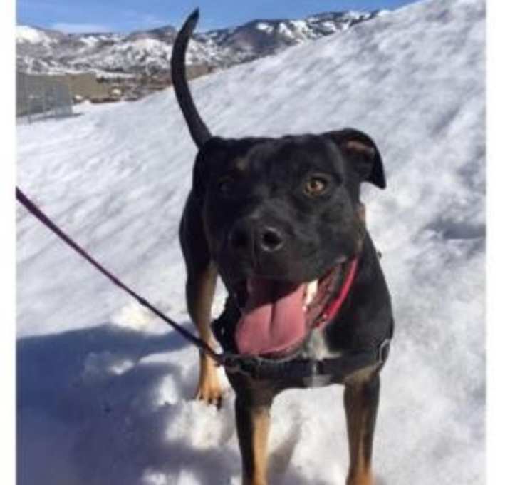 Photo of Zeus