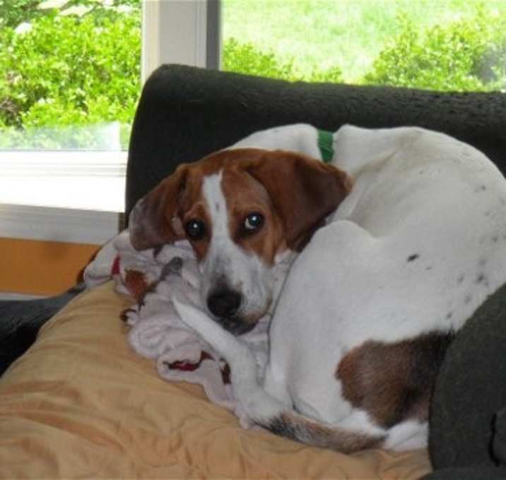Photo of Mack