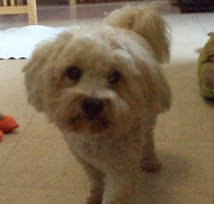 Photo of Tanner