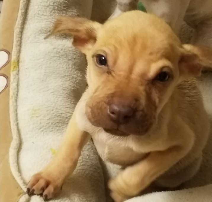 Photo of Skippy