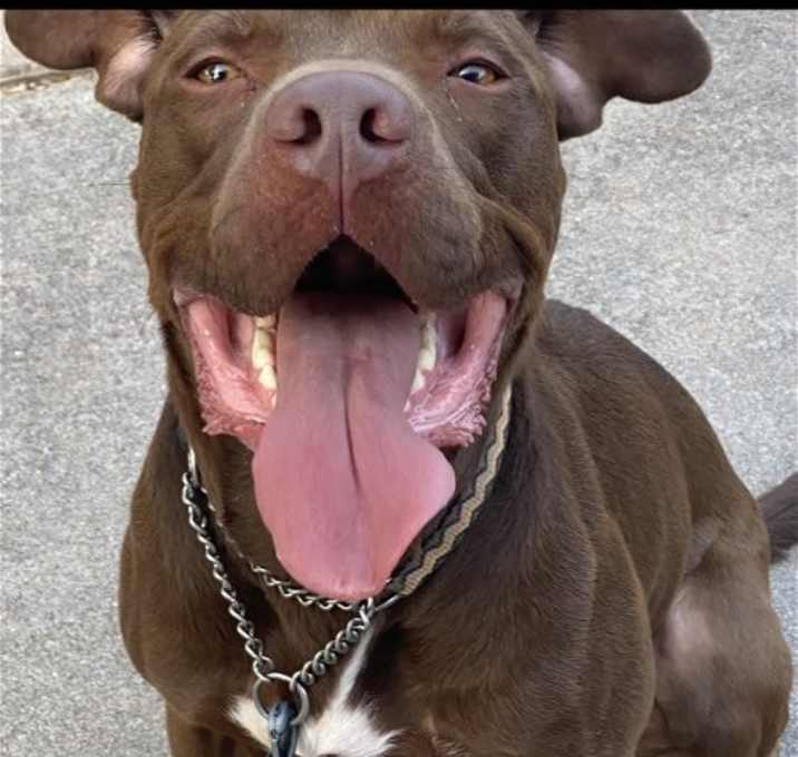 Photo of Rossi