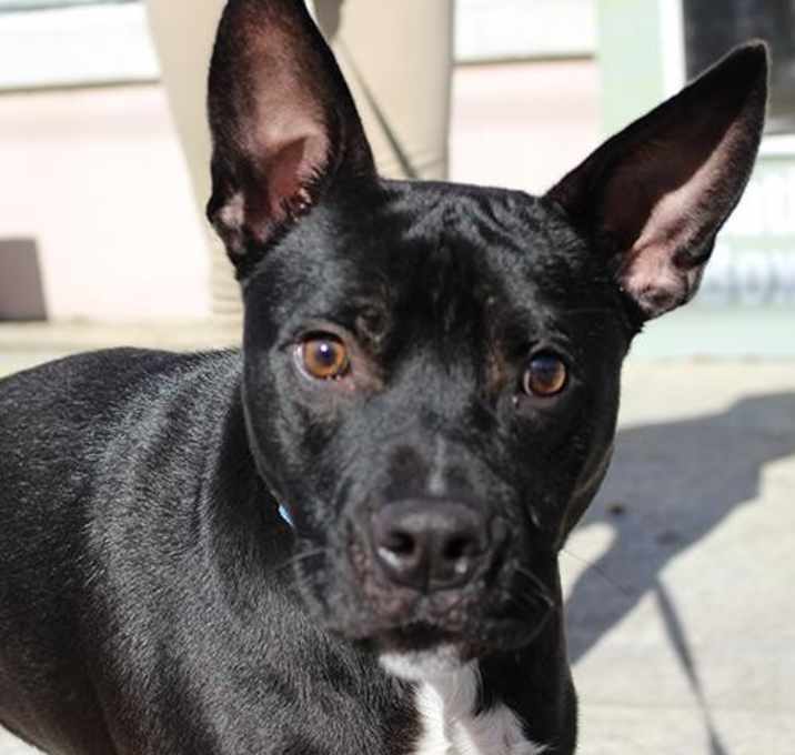 Photo of Richie  (foster)