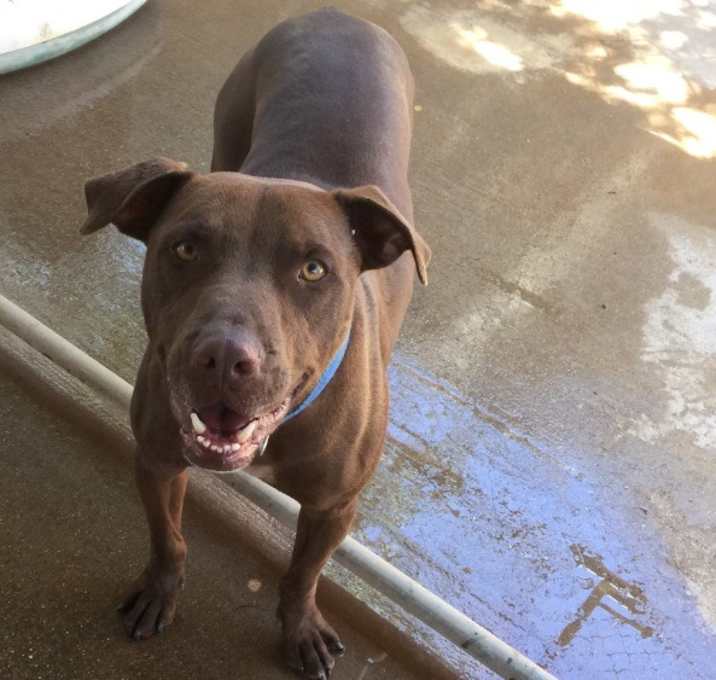 Photo of Sampson