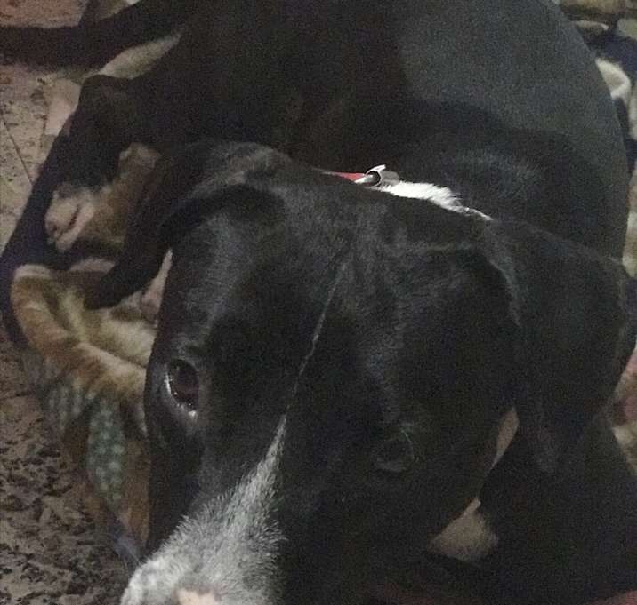 Photo of Diamond