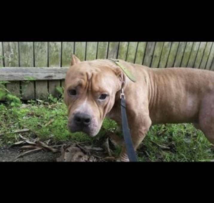 Photo of Kratos
