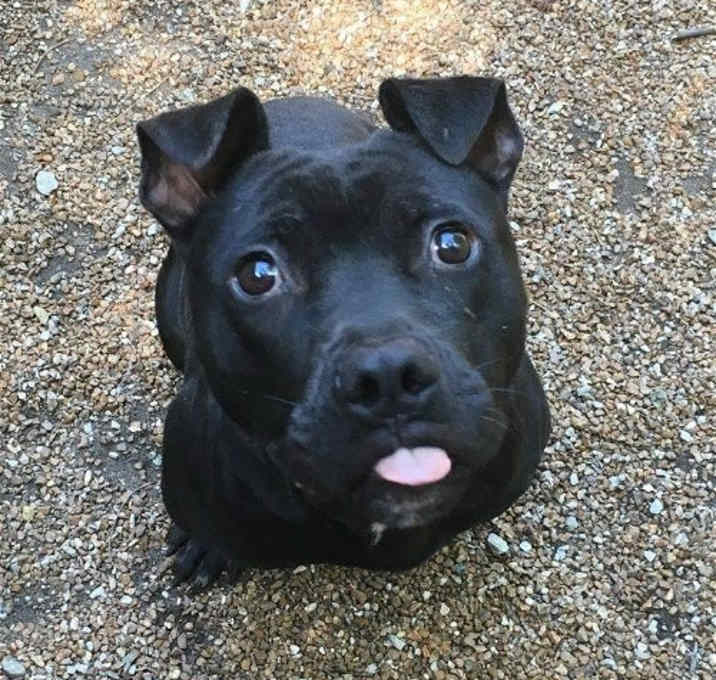 Photo of Jax