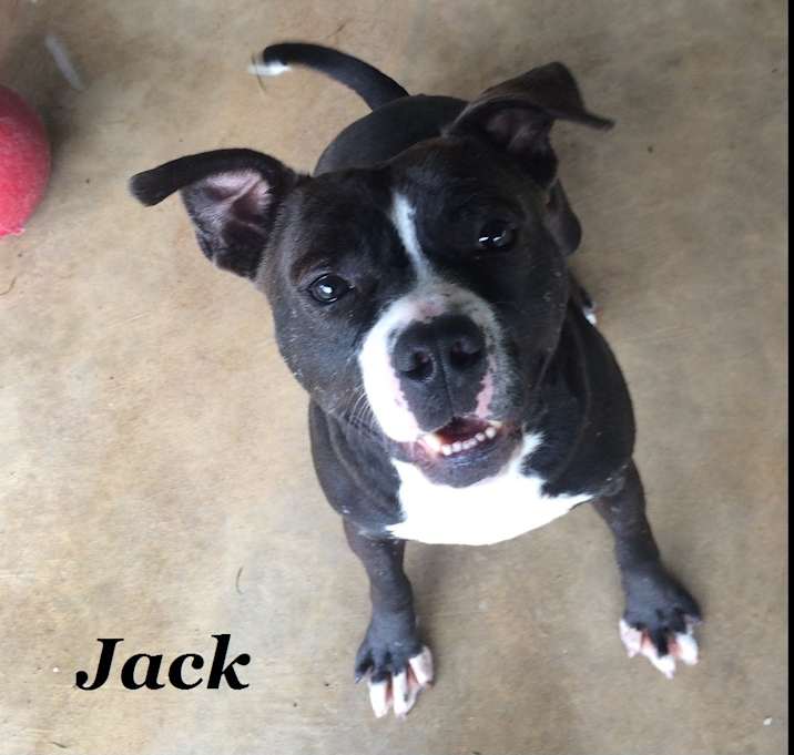Photo of Jack