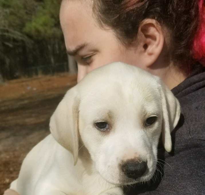 Photo of AUTUMN-ADOPTED