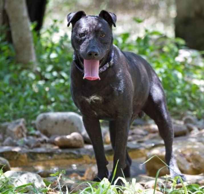 Photo of Phoenix