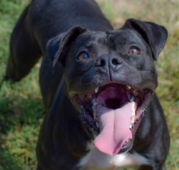 Photo of Kali