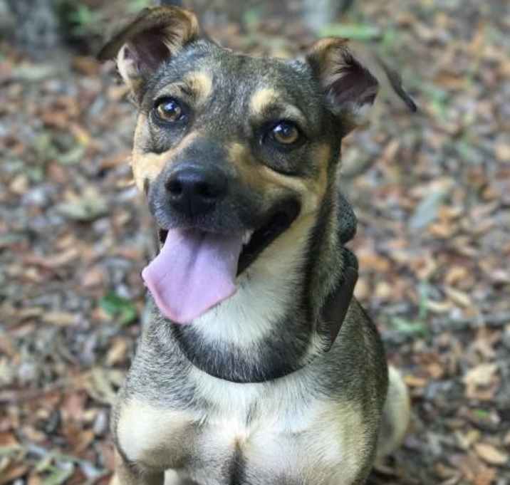 Photo of Gretta