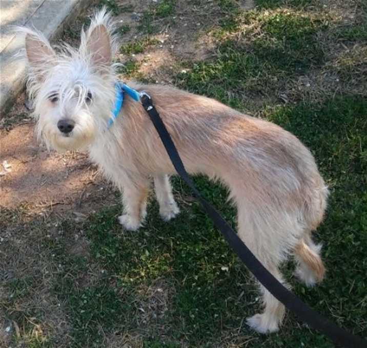 Photo of Bailey Two
