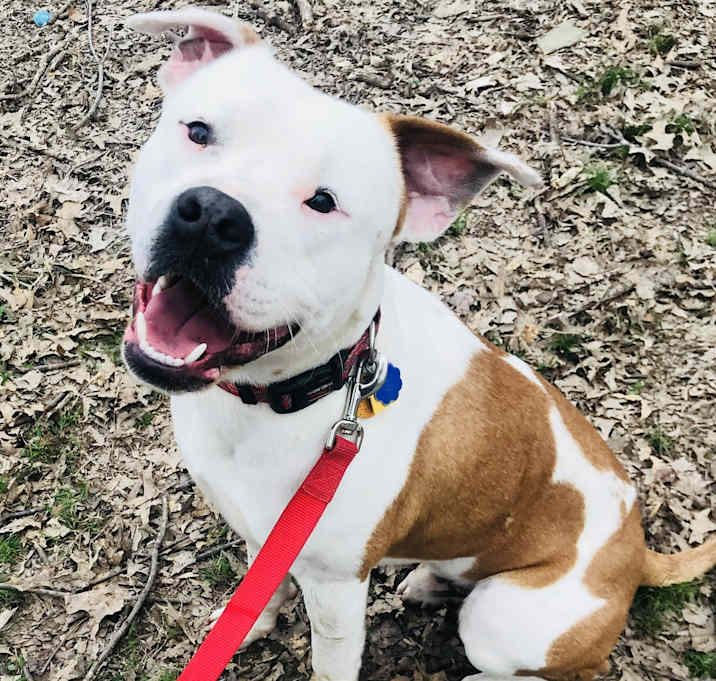 Photo of Duke
