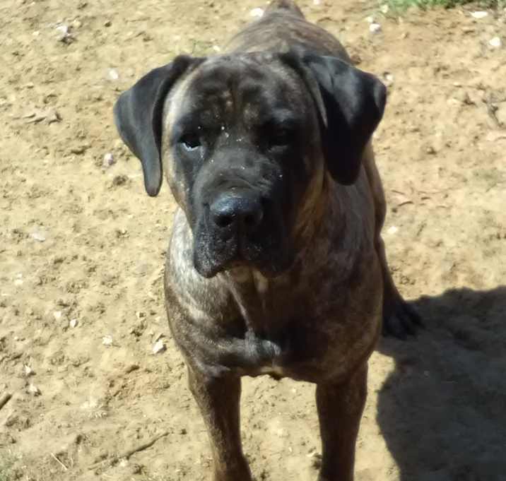 Photo of Sasha