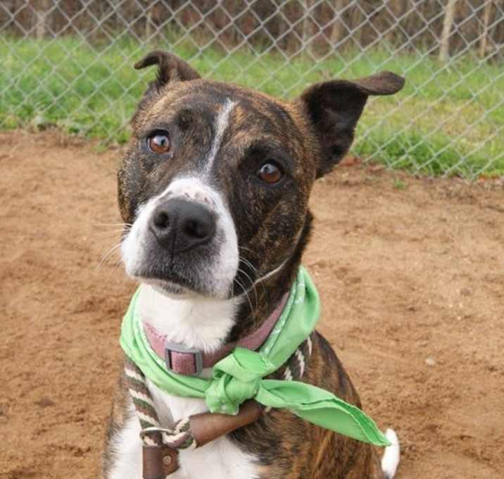 Photo of Zelda