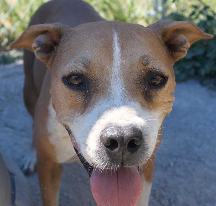 Photo of Bella