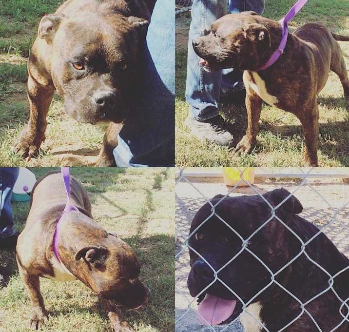 Photo of Tank