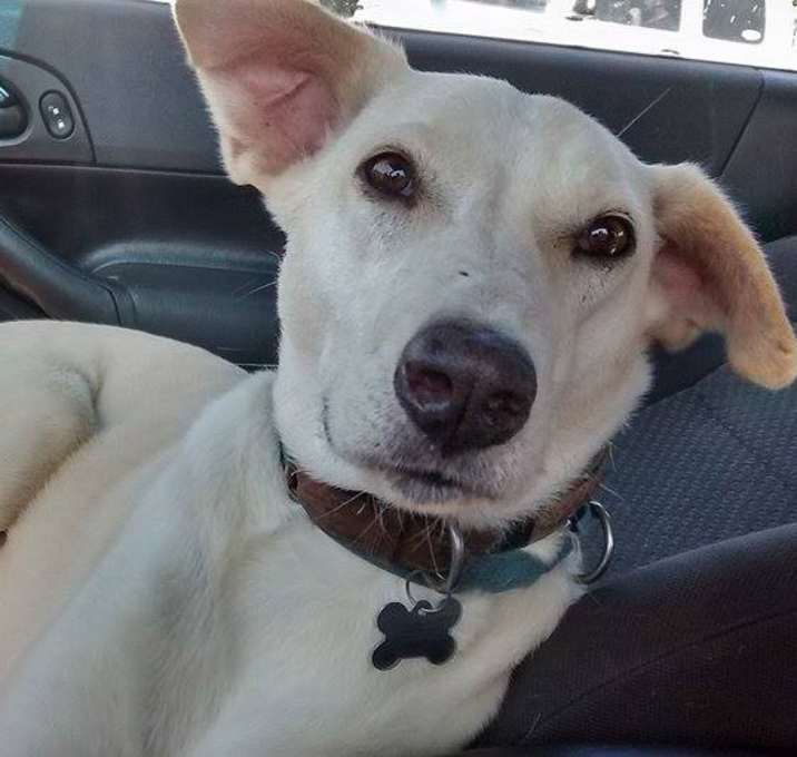 Photo of Milky