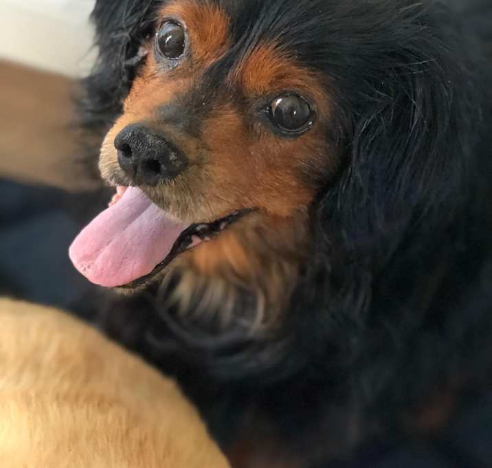 Photo of Charlie