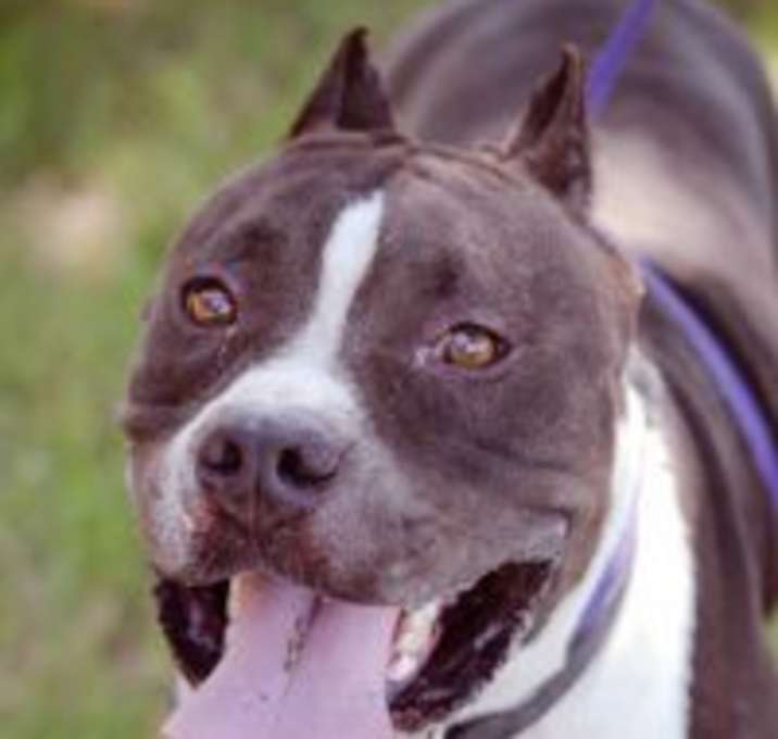 Photo of Tank