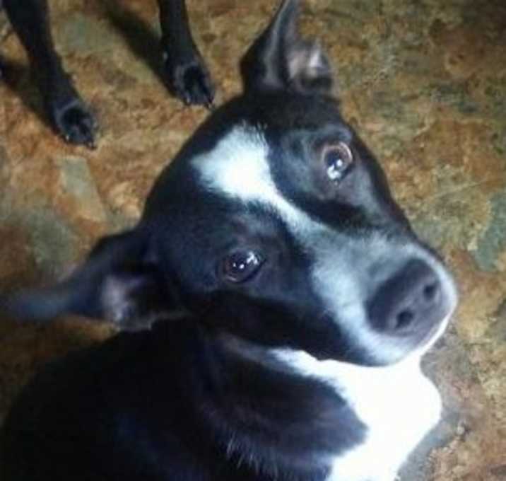 Photo of Rosy