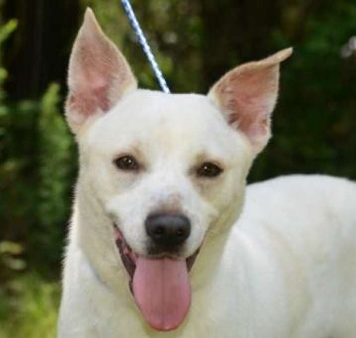 Photo of Chato