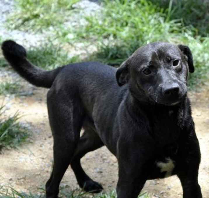 Photo of Alfonso