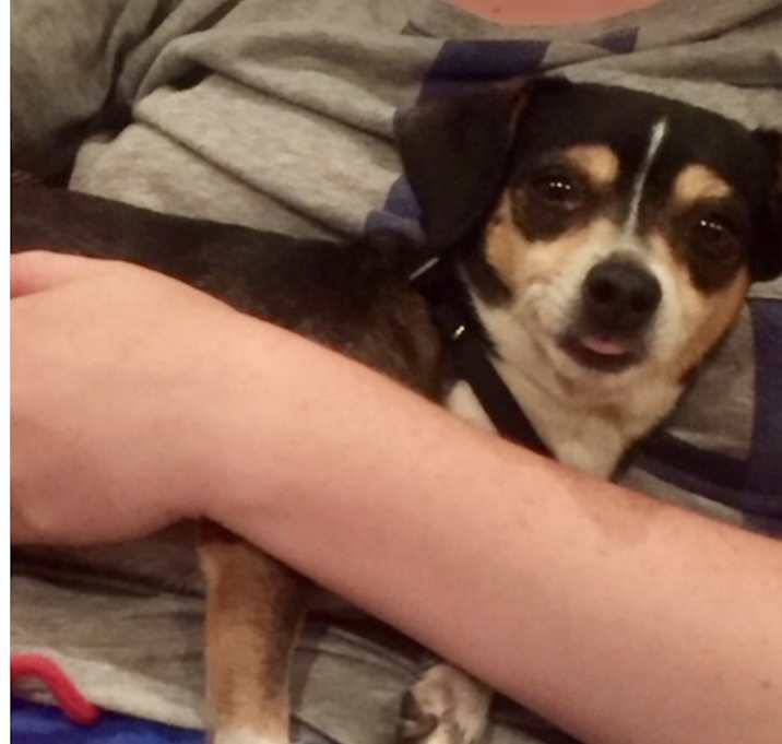 Photo of Suzie