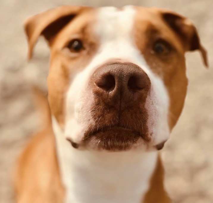 Photo of Lola