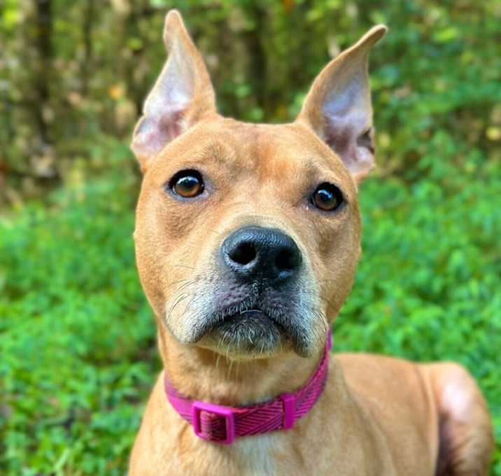 Photo of Maya