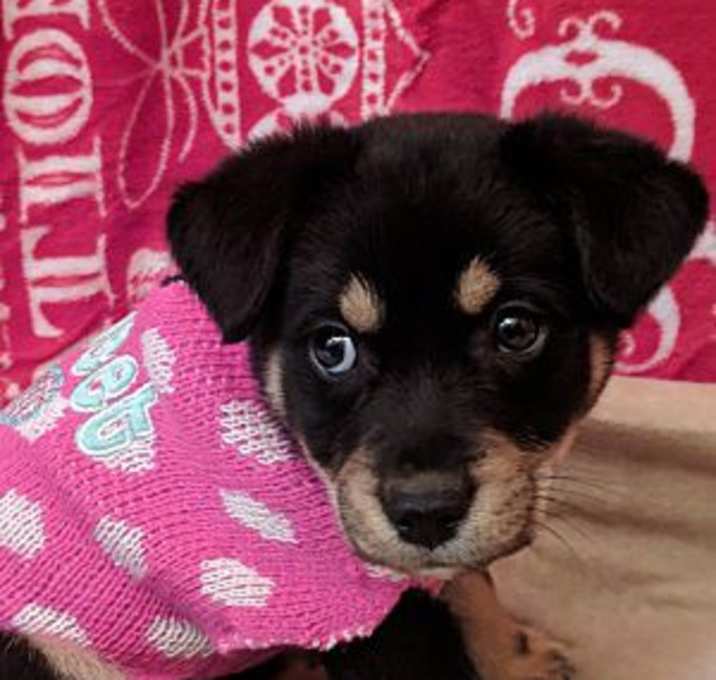 Photo of Holly