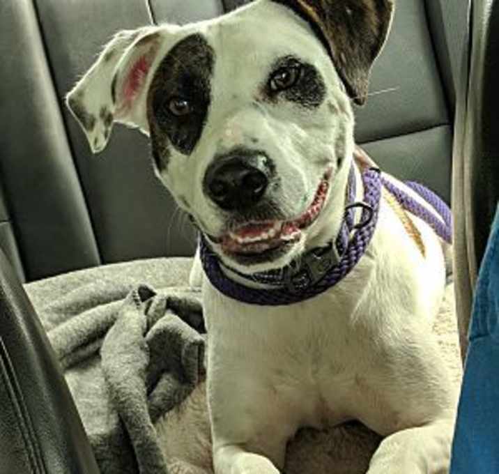 Photo of Maggie