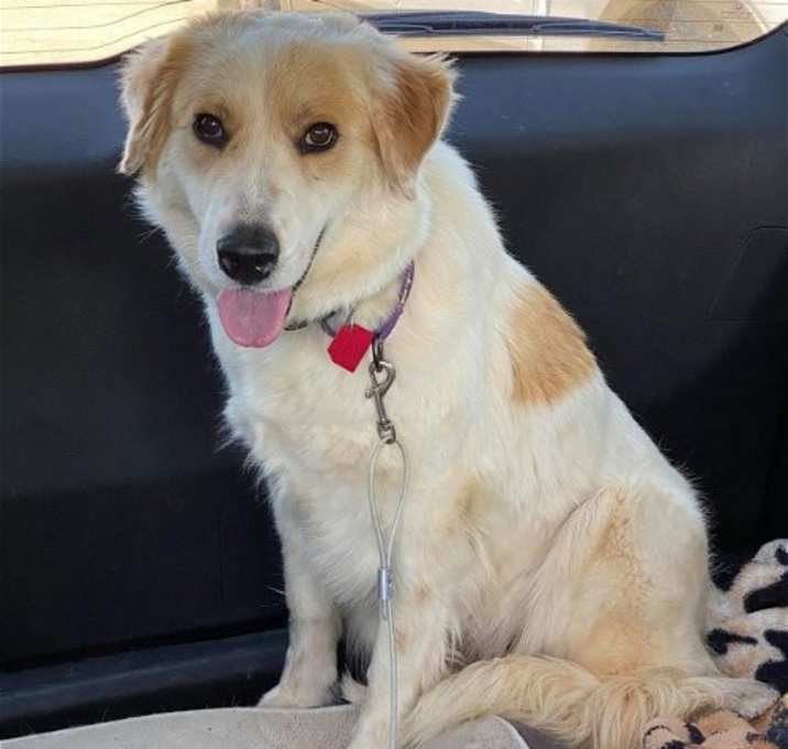 Photo of Nell