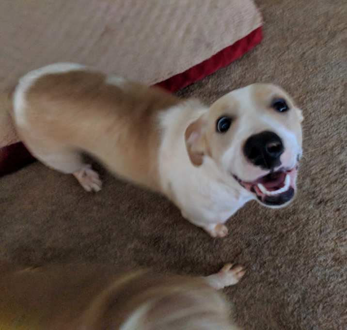Photo of Fred